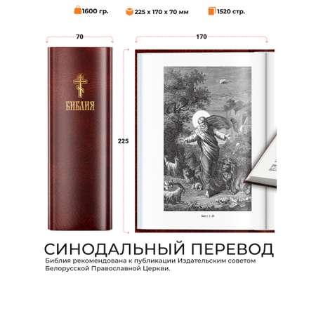 Книга Харвест Книга православная Библия Новый и Ветхий завет Священного Писания коричневая