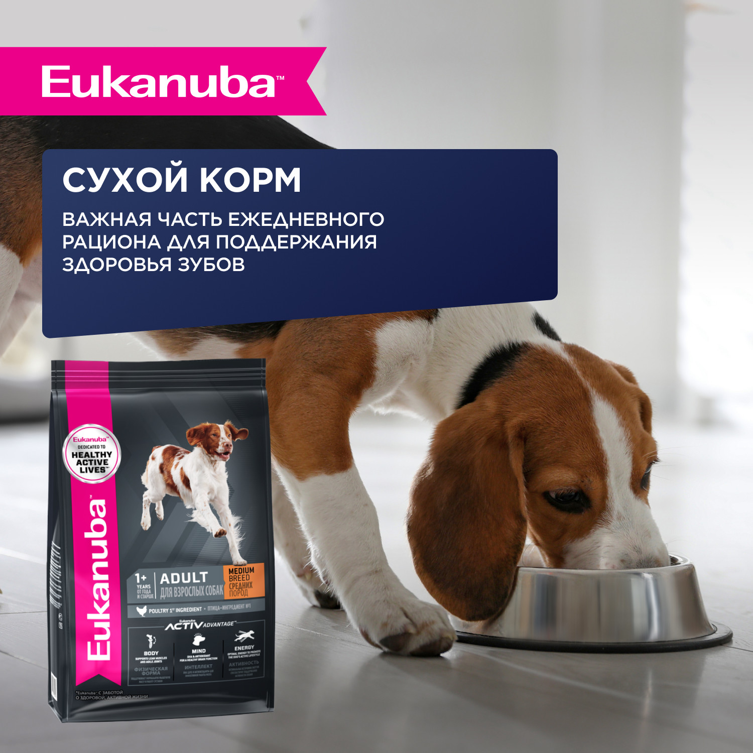 Корм для собак Eukanuba 100г с говядиной в соусе пауч - фото 6