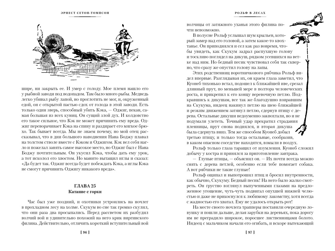 Книга АЗБУКА ИЛБК. Сетон-Томпсон Э. Рольф в лесах. Лесные рассказы (с илл.) - фото 21