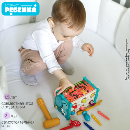 Игрушка Zeimas сортер Монтессори Магнитная рыбалка