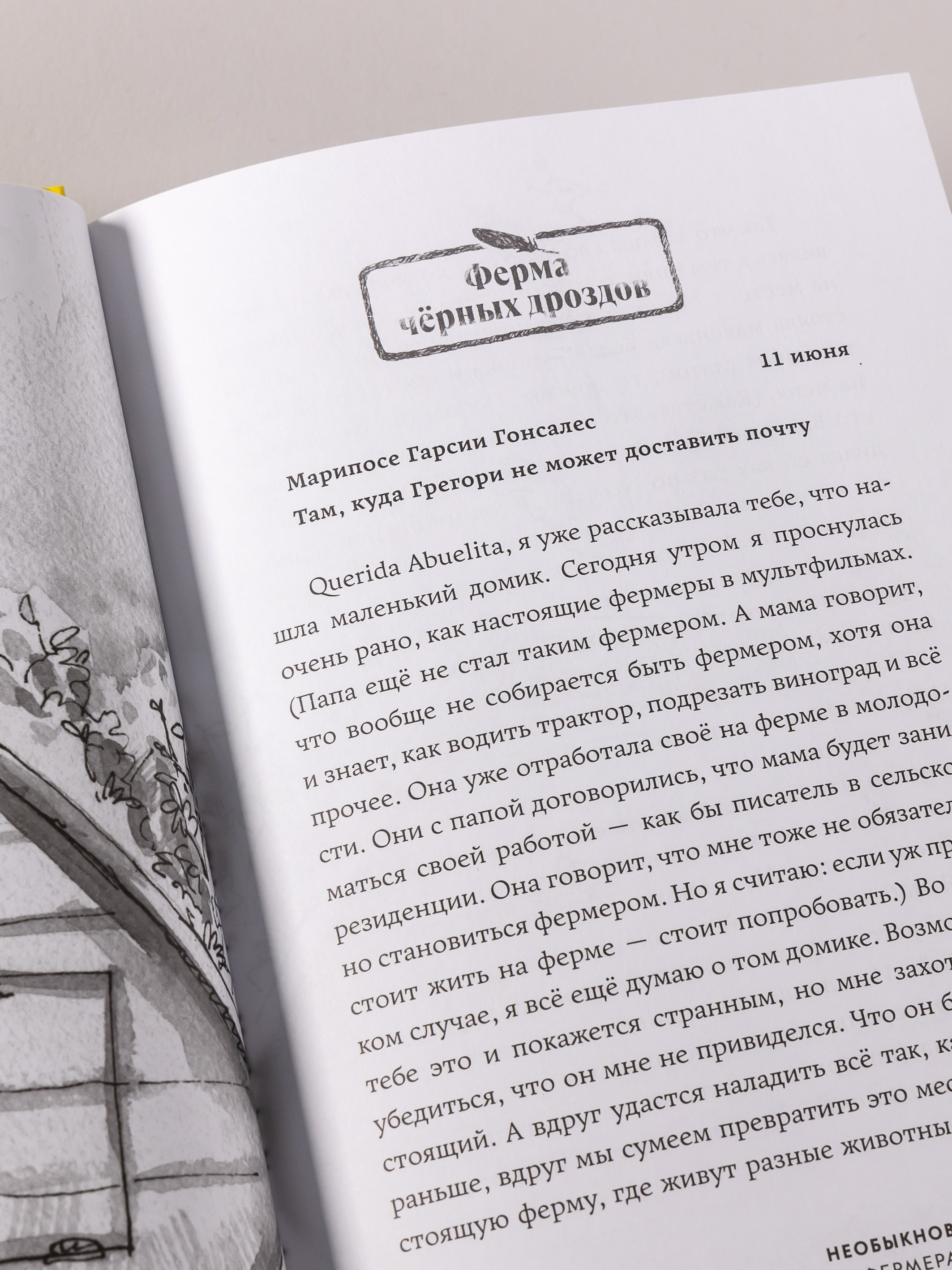 Книга Альпина. Дети Необыкновенные куры для лучшего фермера-птицевода - фото 8