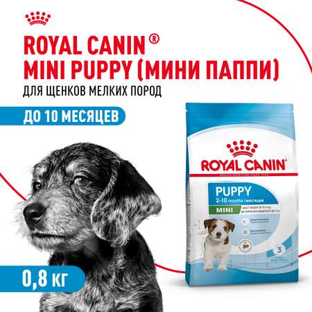 Корм для щенков ROYAL CANIN Puppy мелких пород 800г
