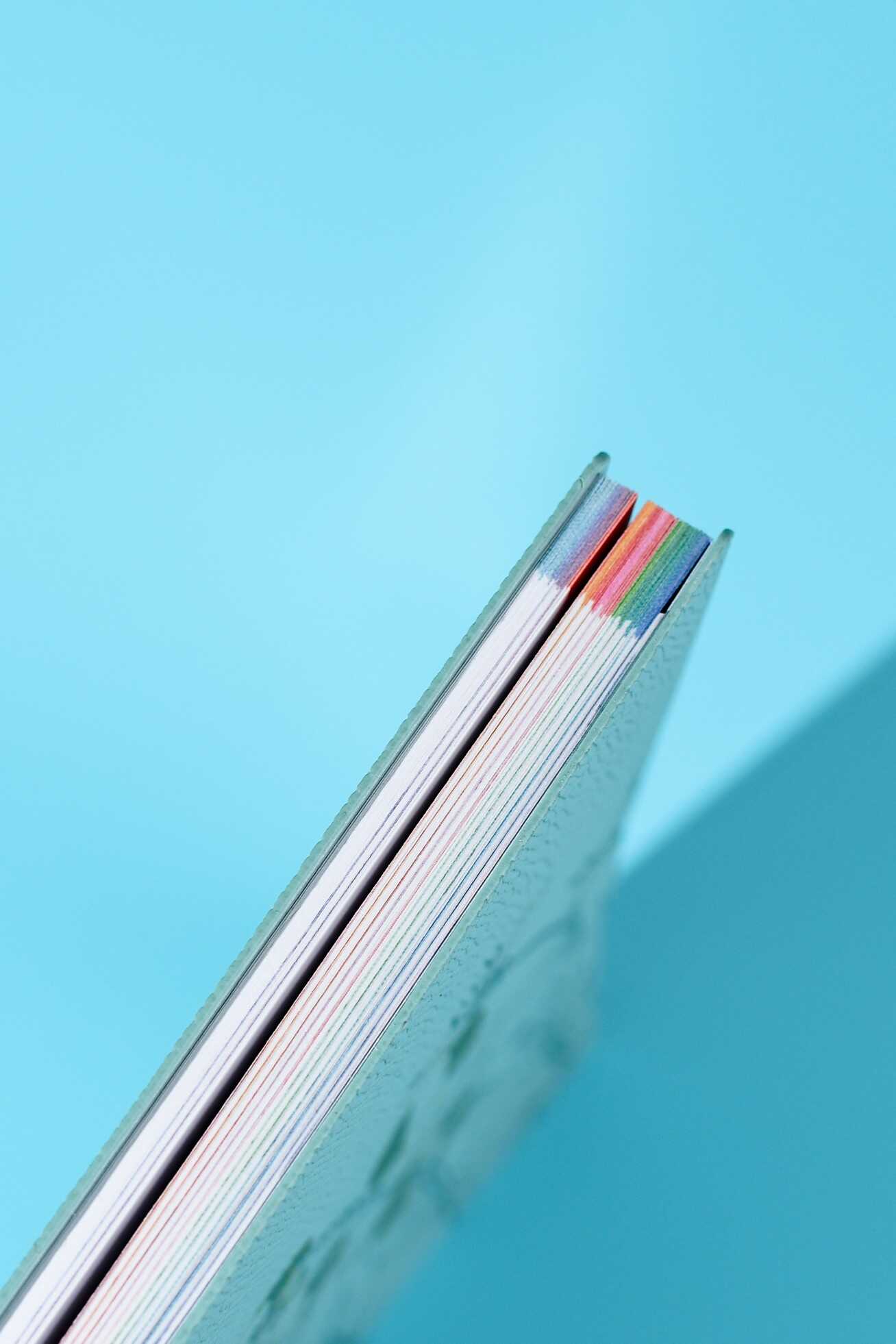 Ежедневник Феникс + ESCALADA 96 лист. - фото 8