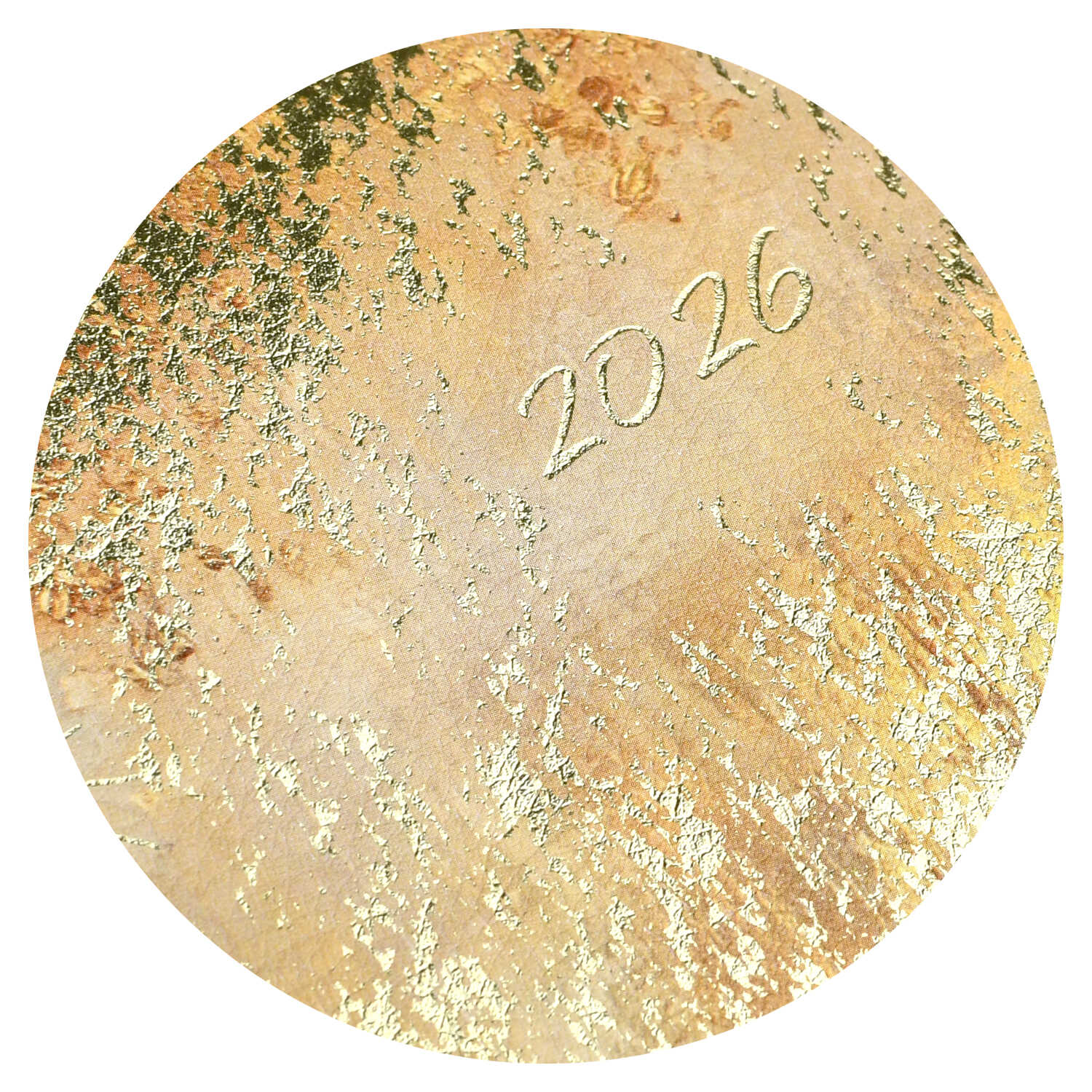 Ежедневник Феникс + ESCALADA 64 лист. - фото 2