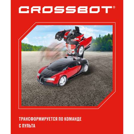 Робот РУ CROSSBOT Astrobot Осирис