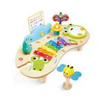 Игрушка музыкальная Hape Звуки Природы ксилофон
