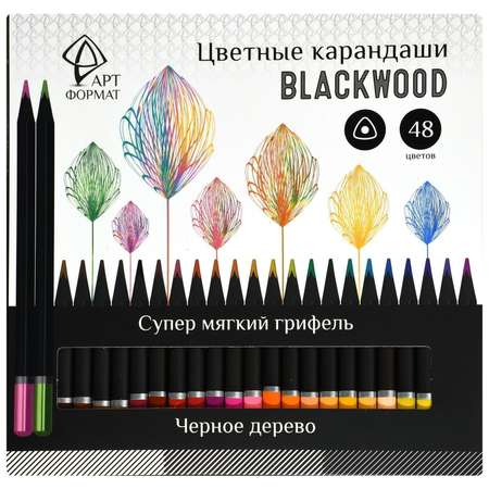 Карандаши цветные АРТформат 48 шт.