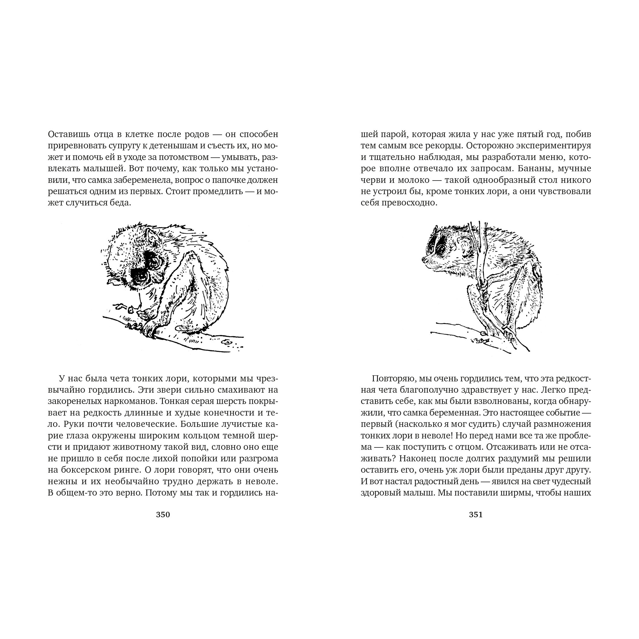 Книга АЗБУКА Земля шорохов. Поместье-зверинец Даррелл Дж. Серия: Мир приключений (иллюстрированный) - фото 9