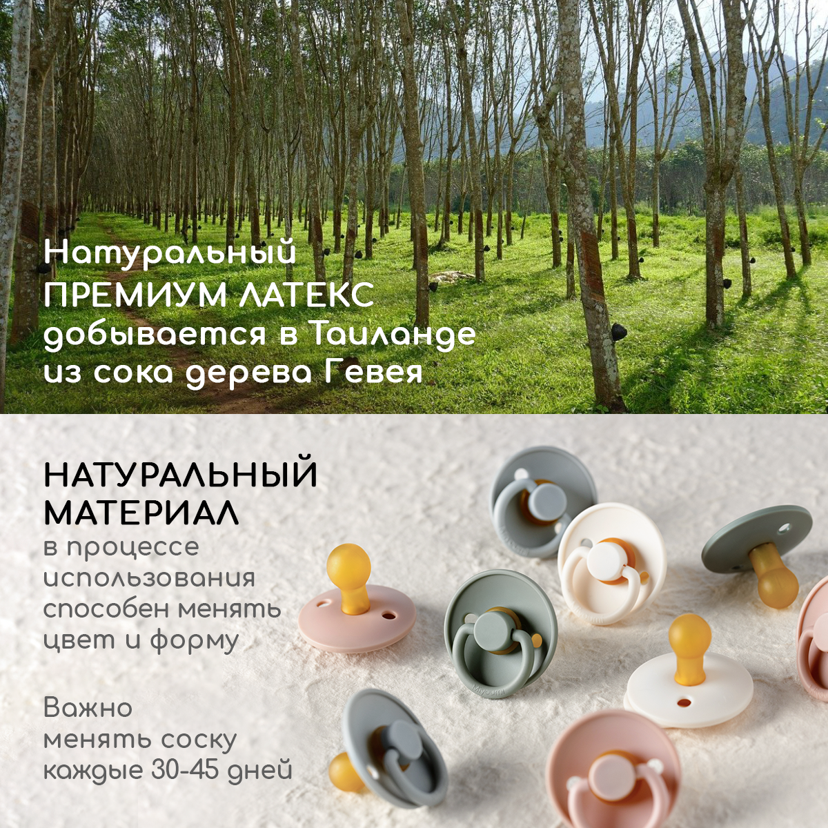 Пустышка Miyoumi латекс анатомическая от 6 мес. - фото 10
