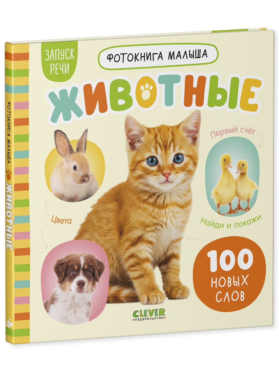 Книга Clever Фотокнига малыша - фото 2
