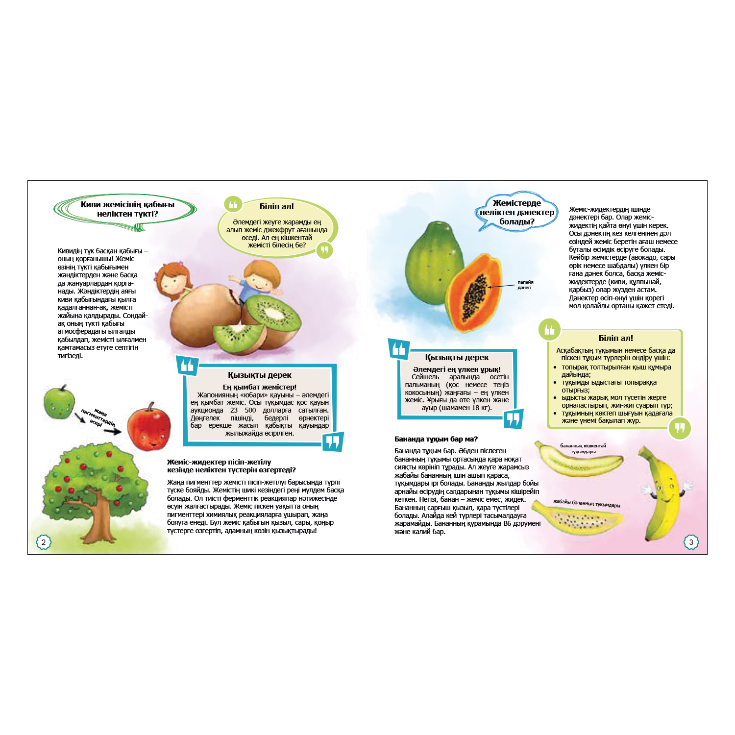 Книга Аруна Уши слона 350790 - фото 2