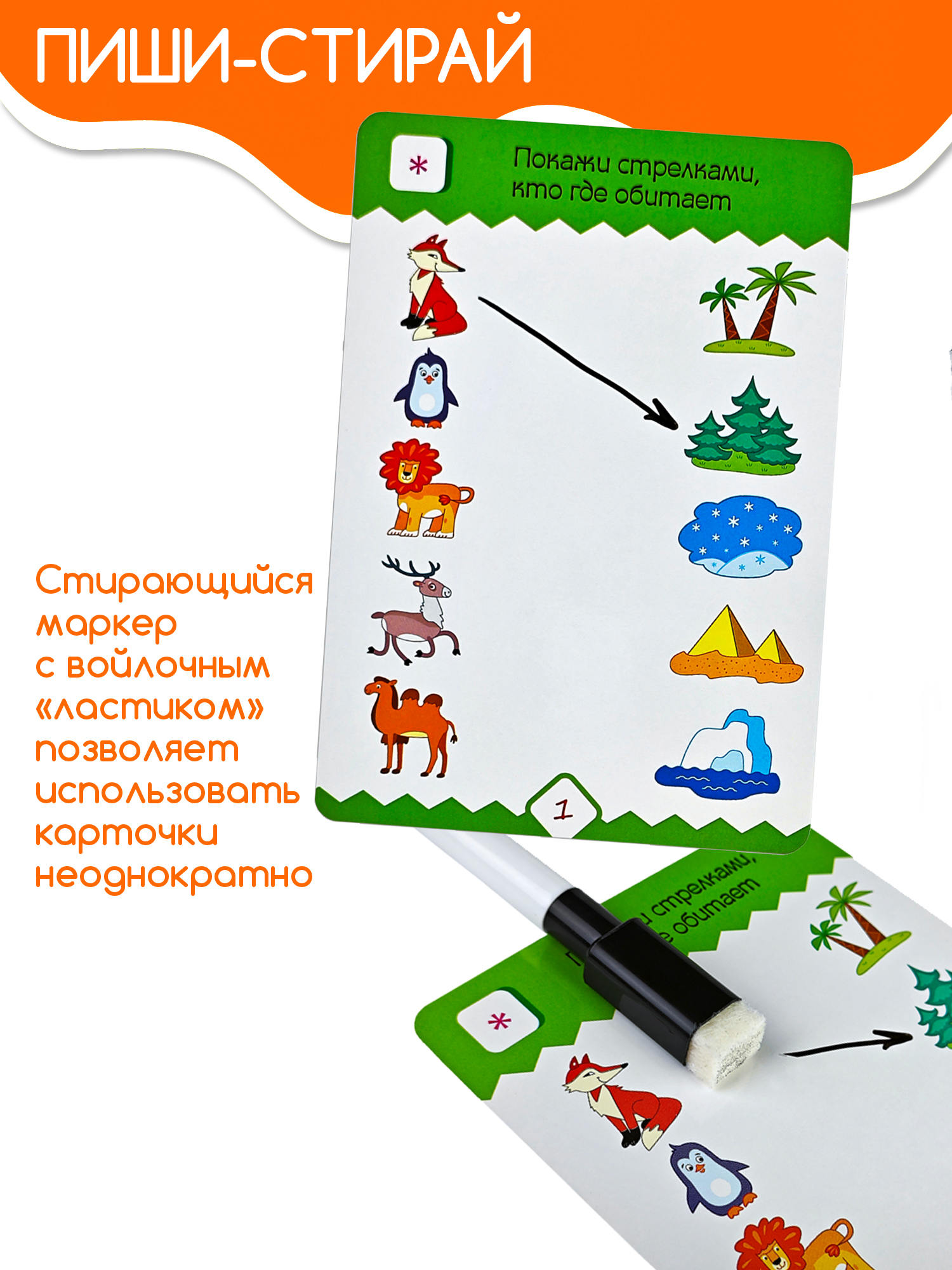 Игра развивающая Дрофа-Медиа IQ Box. Головоломки для мальчиков 4299 - фото 5