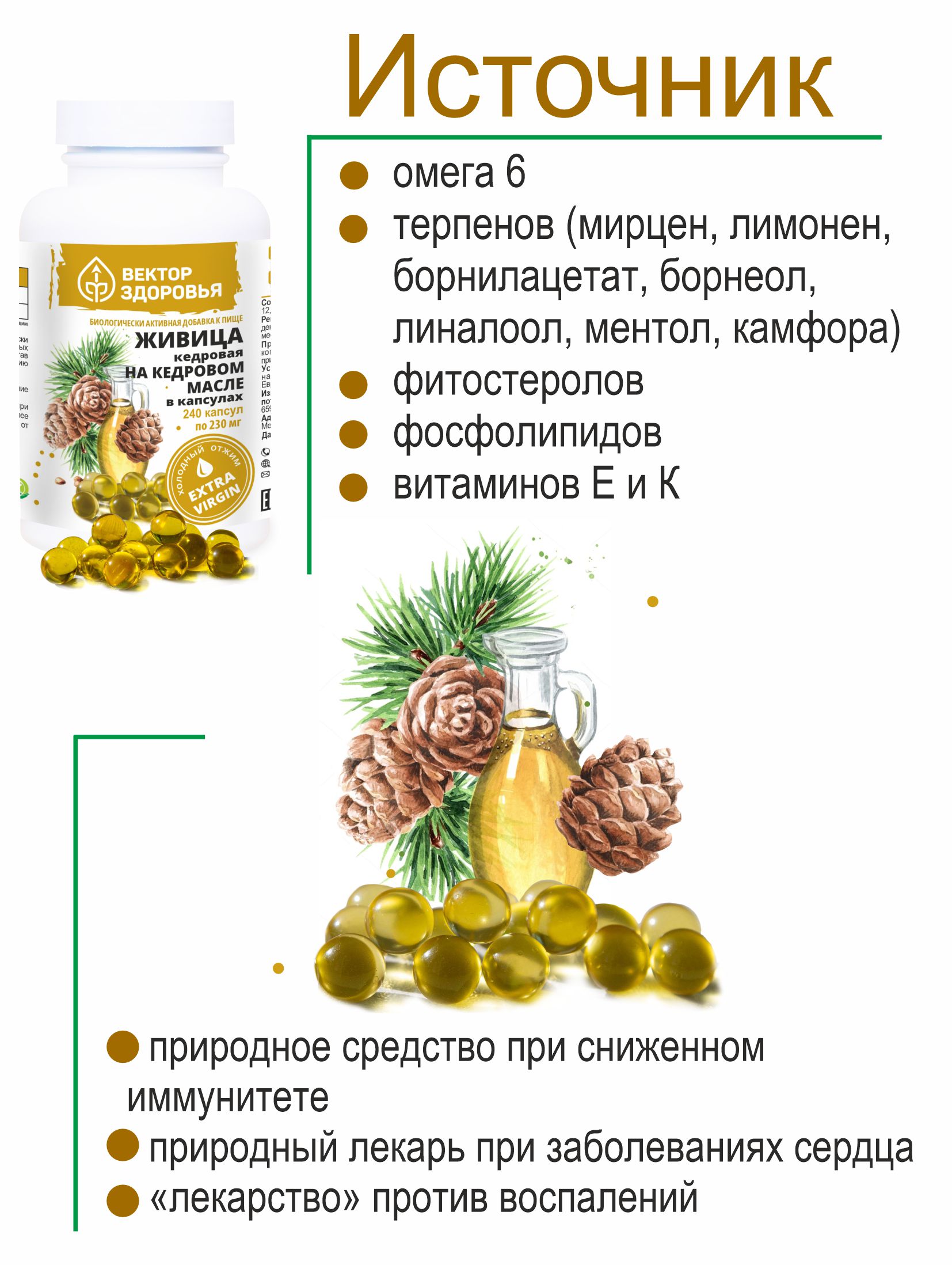 Растительные концентраты Алтайские традиции Живица кедровая на кедровом масле 240 капсул - фото 4