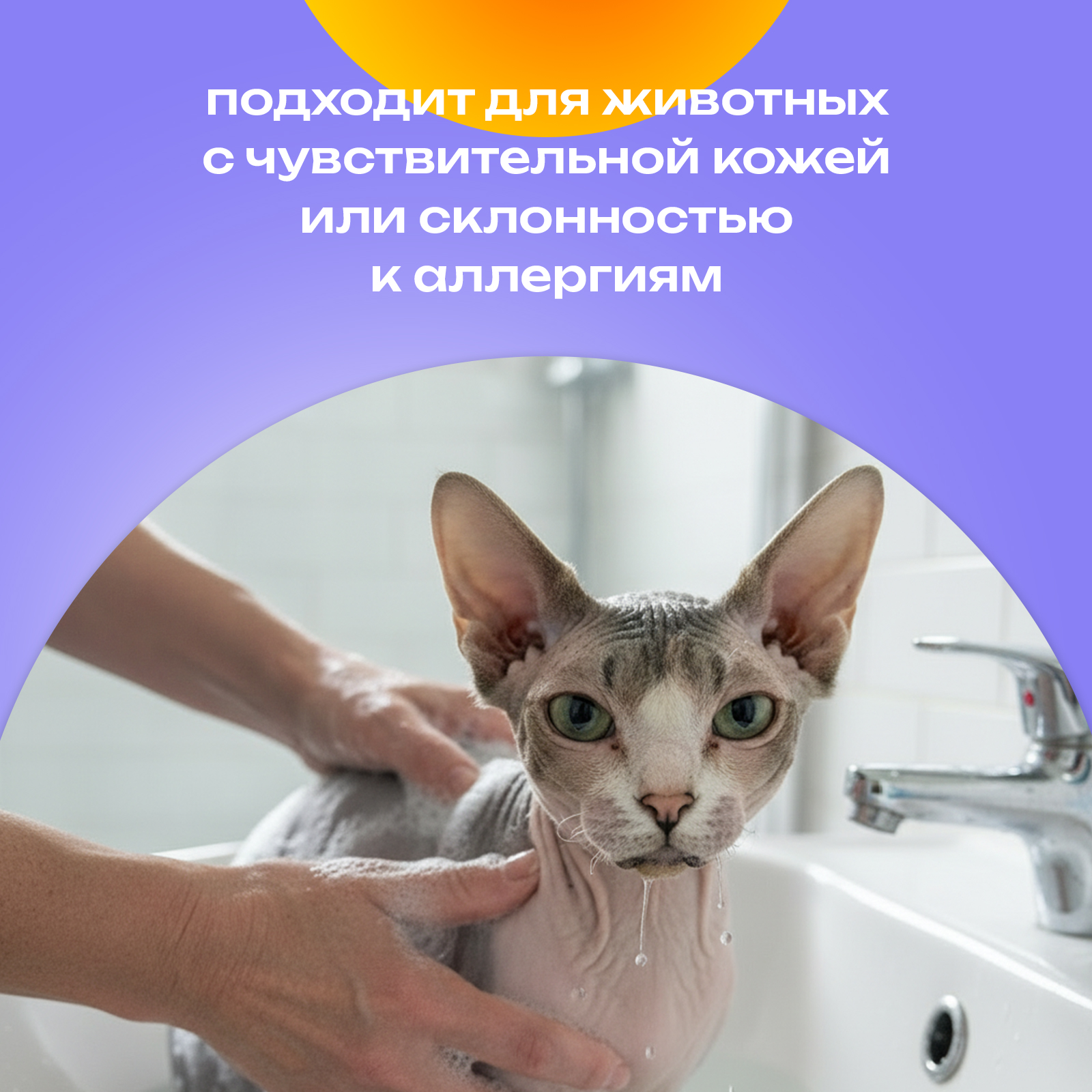 Шампунь PETPOWER для бесшерстных лысых пород кошек и собак 250 мл - фото 4