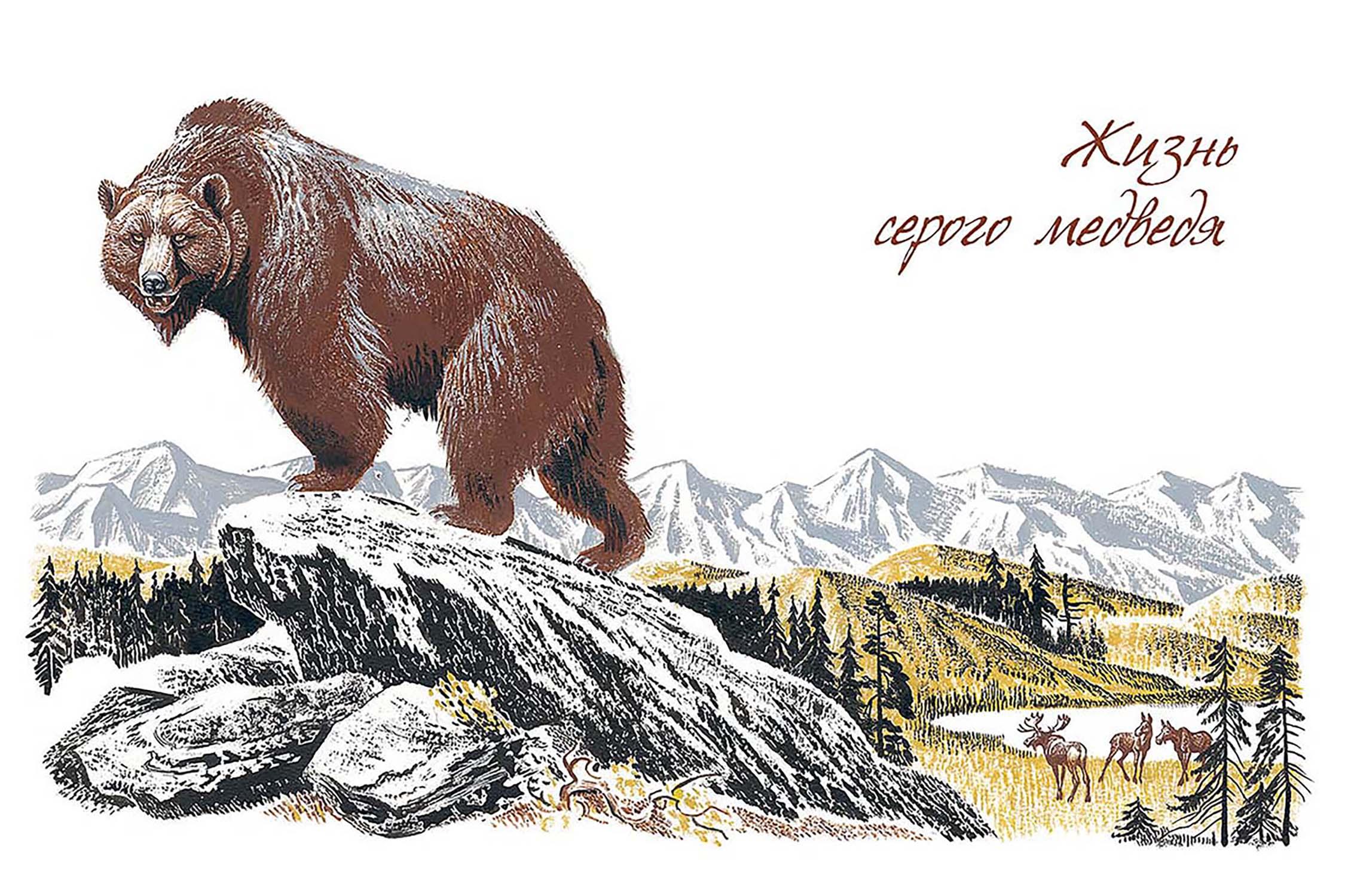 Книга Издательство Речь Рассказы о животных - фото 7