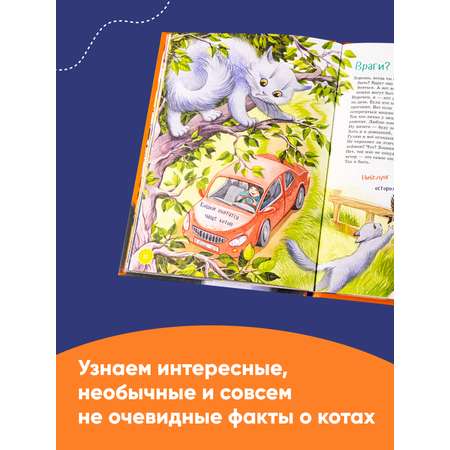 Книга Альпина. Дети Я кот