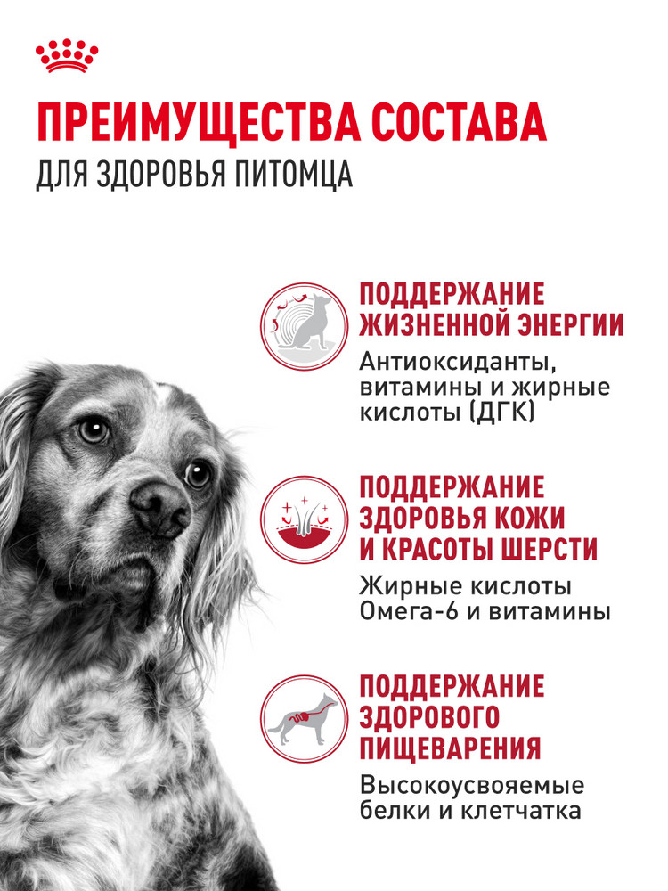 Корм ROYAL CANIN 4кг для пожилых собак средних размеров 11-25кг - фото 3