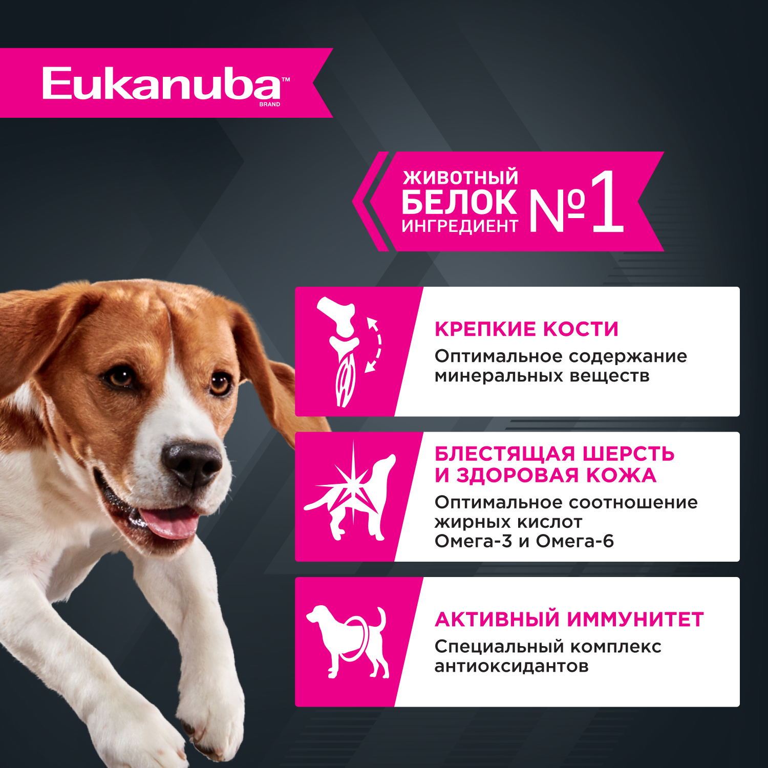 Корм для собак Eukanuba 100г с ягненком в соусе пауч - фото 3