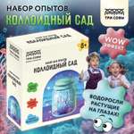 Набор для опытов ТРИ СОВЫ