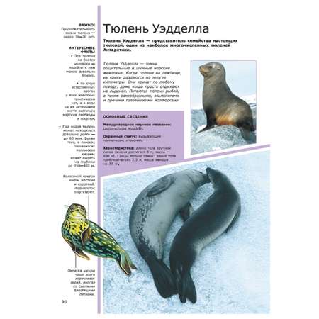 Книга АСТ Красочный Мир Животные