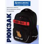 Рюкзак Brauberg капибара