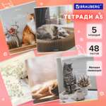 Общая тетрадь Brauberg клетка 48 лист. 5 шт.