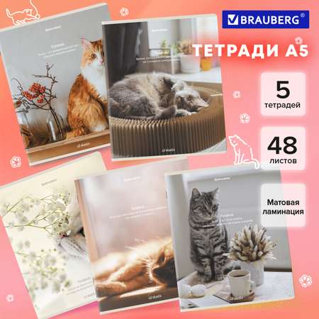 Общая тетрадь Brauberg клетка 48 лист. 5 шт.