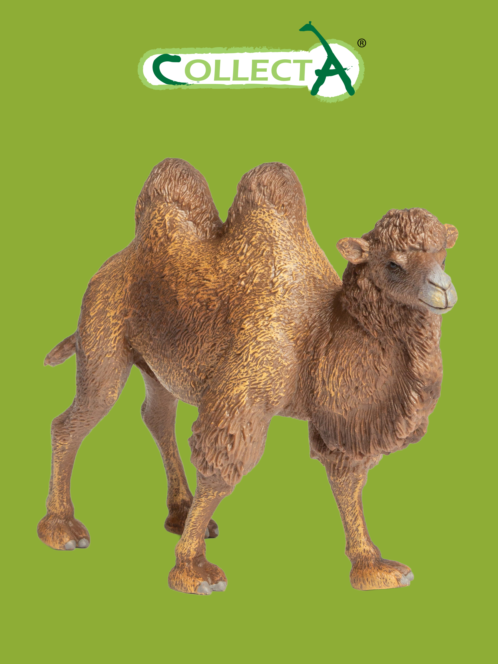 Фигурка Collecta Двугорбый верблюд - фото 1