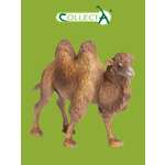 Фигурка Collecta Двугорбый верблюд
