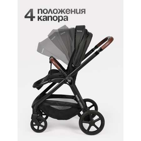 Коляска 2в1 Tomix Selena
