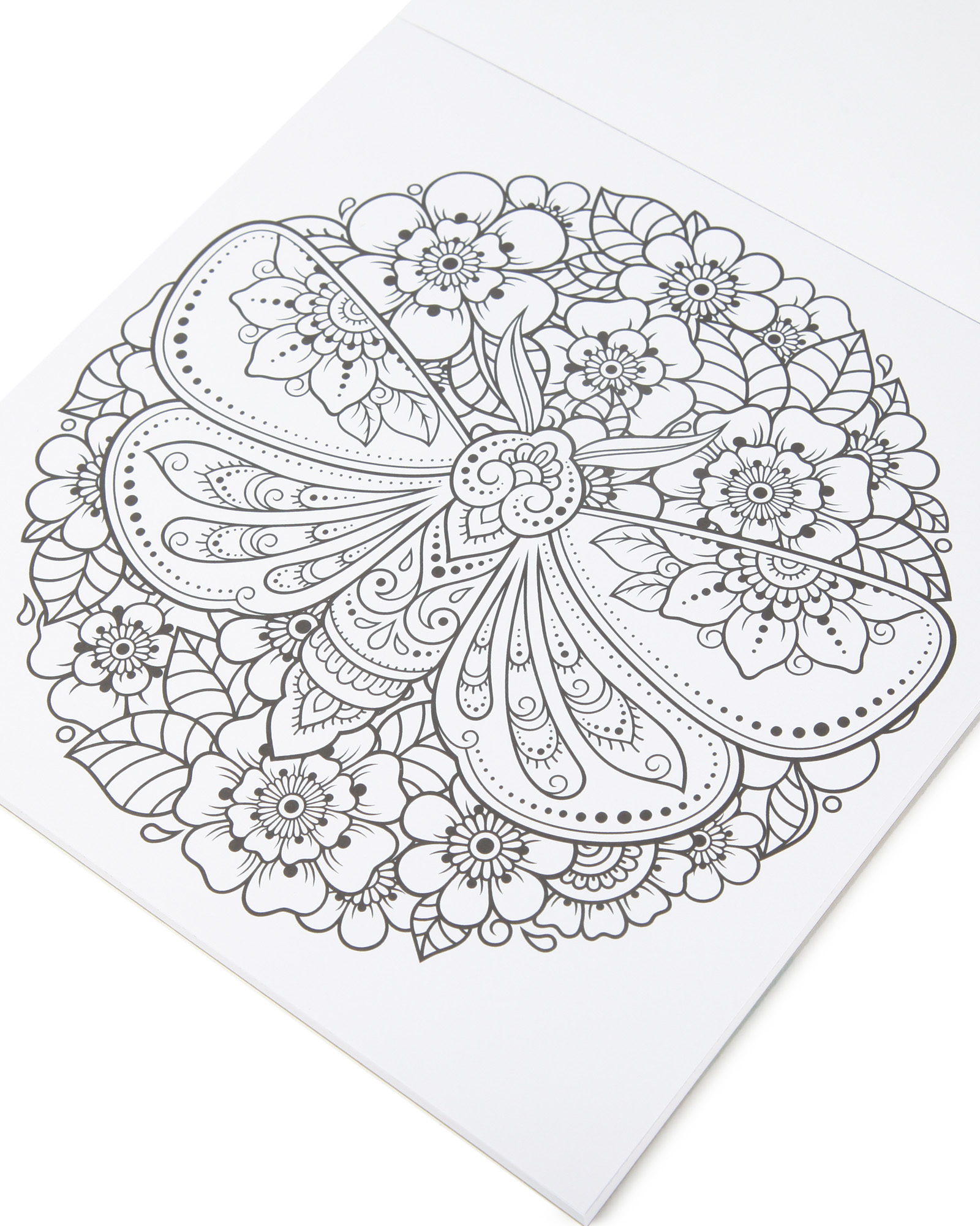 Раскраска Attivio Животный мир антистресс 24 листа - фото 2