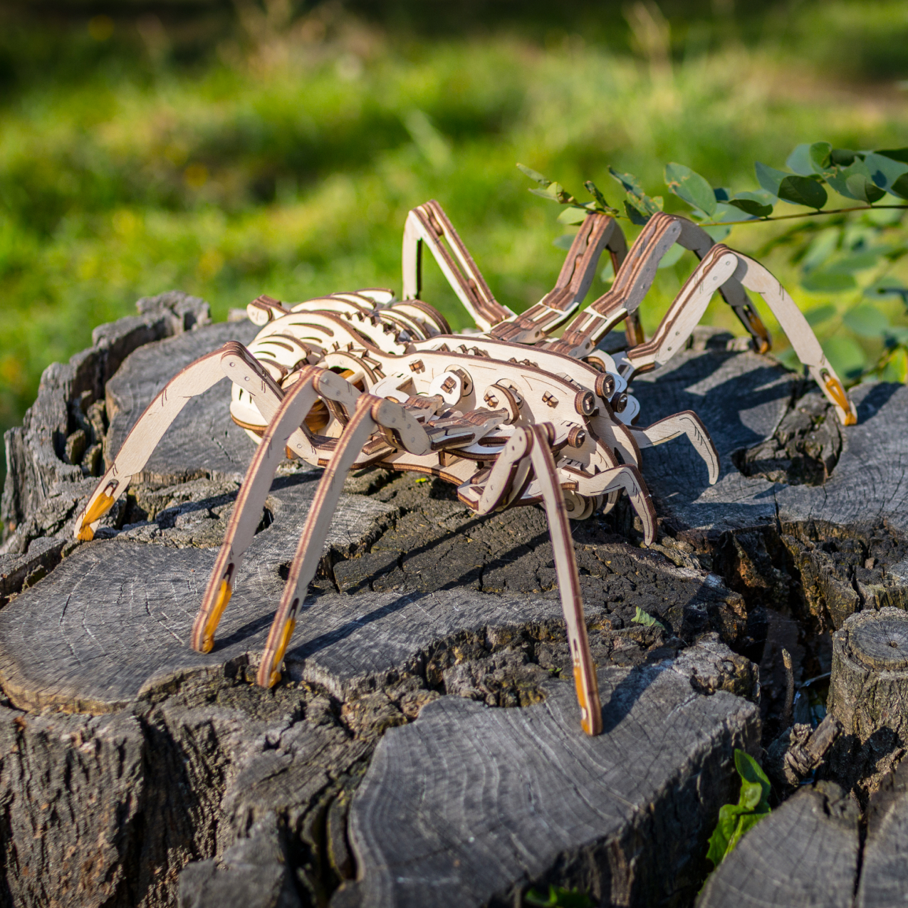 Конструктор Eco Wood Art Spider Паук деревянный - фото 6