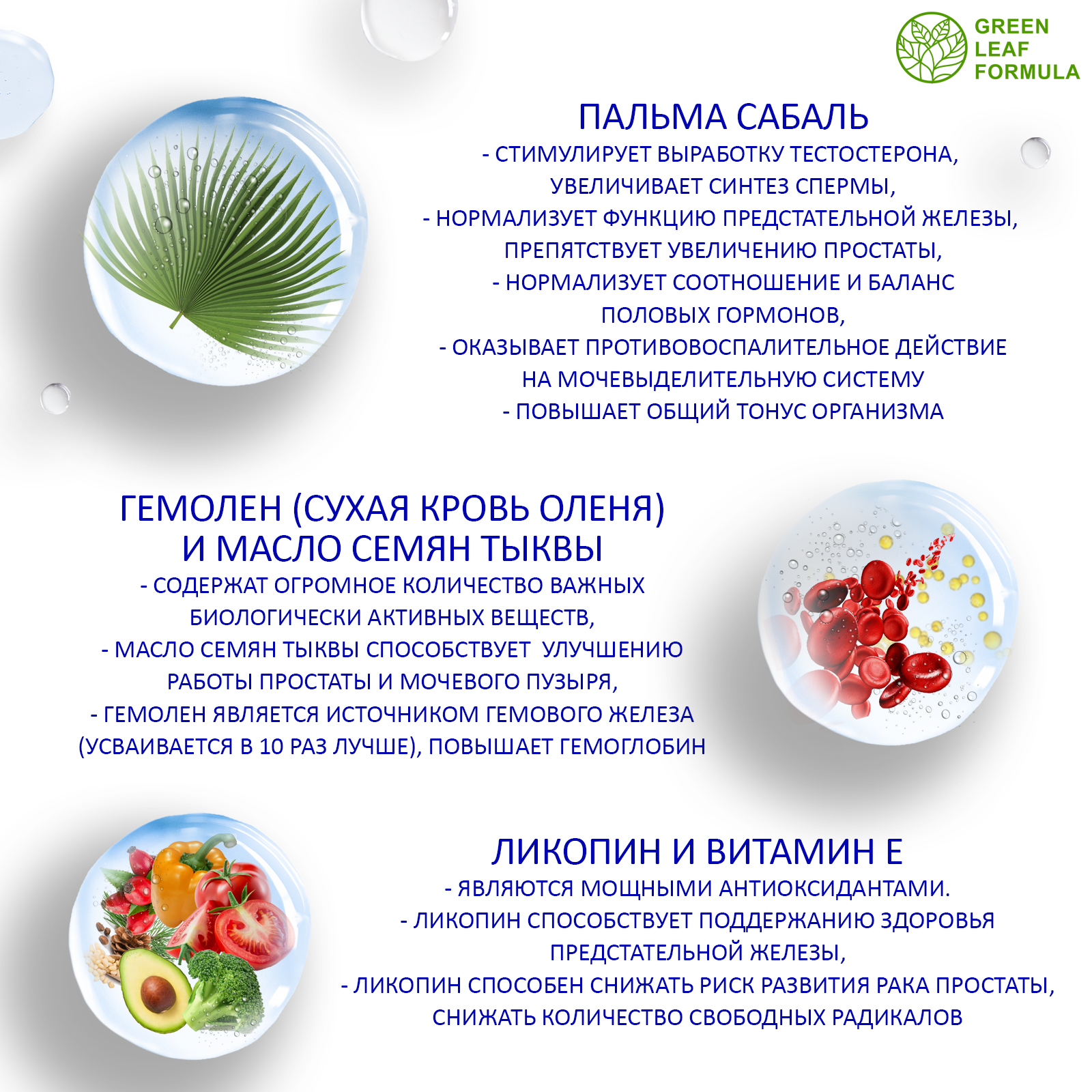 Витамины для мужчин Green Leaf Formula для репродуктивной системы для повышения тестостерона для иммунитета - фото 4