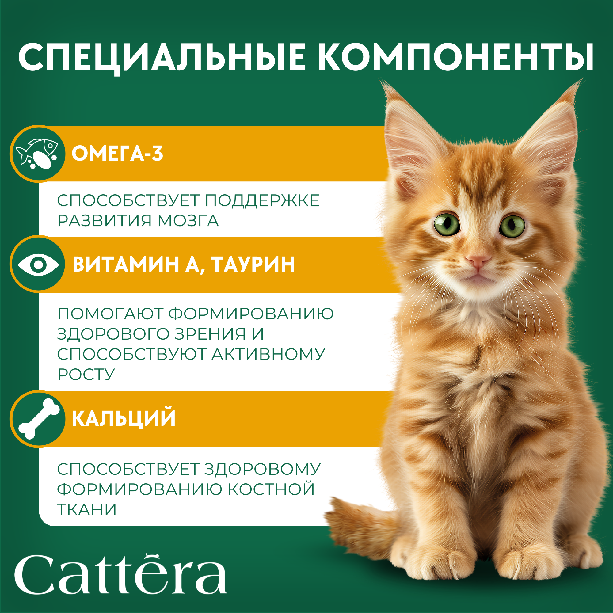 Корм сухой для кошек Cattera полнорационный для котят с 1 месяца, беременных и кормящих кошек с курицей 0,3 - фото 7