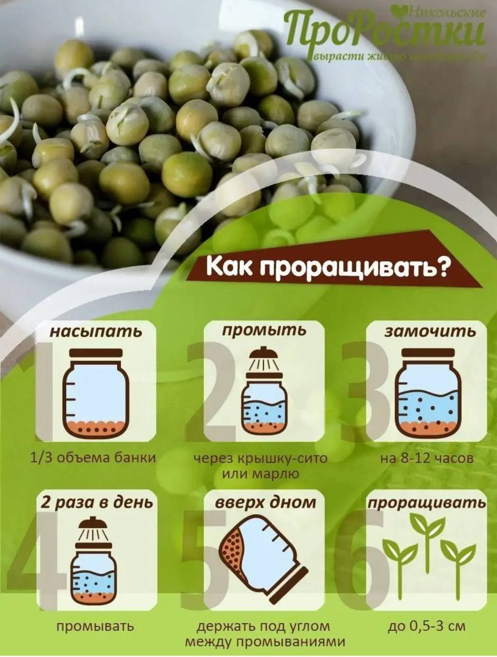 Семена для микрозелени Никольские ПроРостки горох кресс-афилла - фото 6