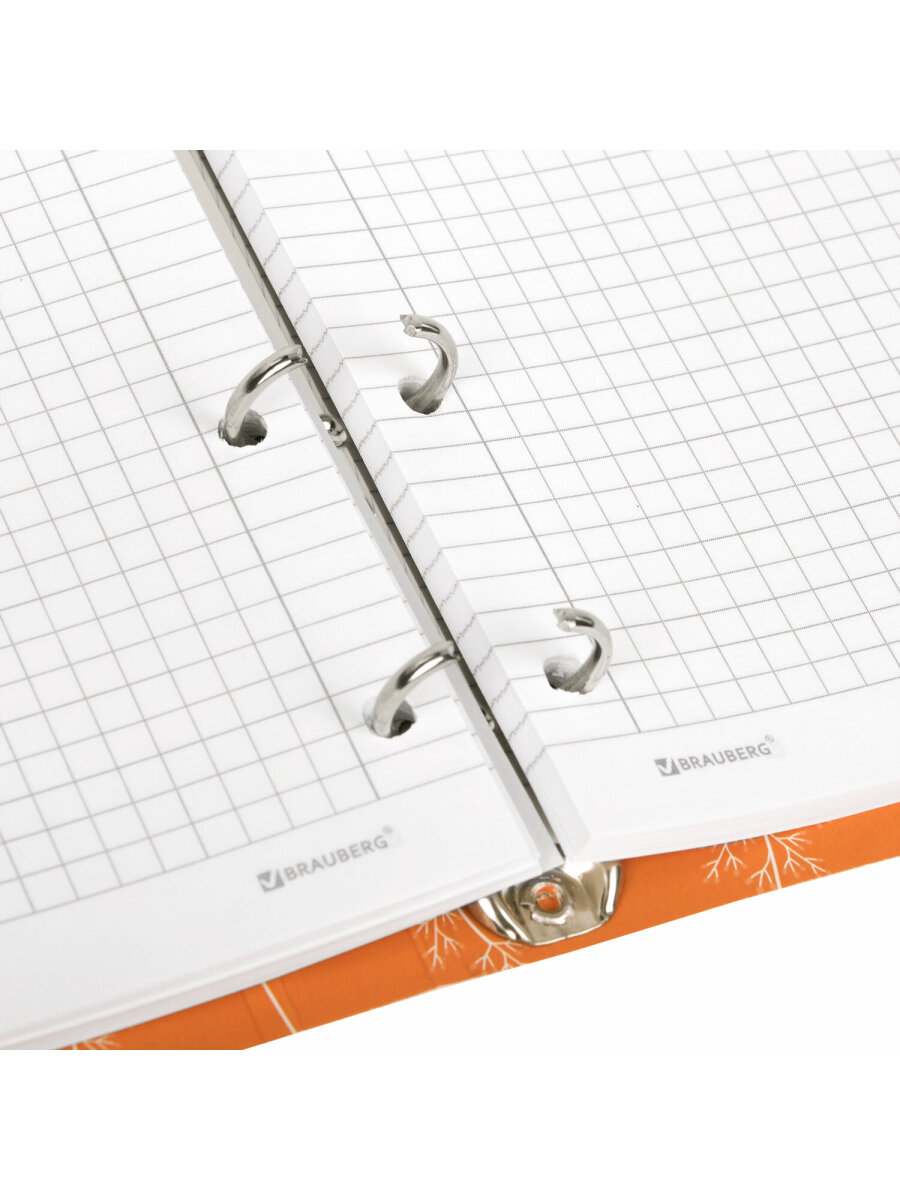Тетрадь Brauberg клетка - фото 12
