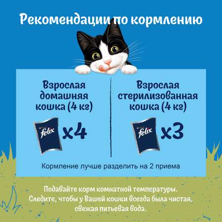 Корм для кошек Felix 75г для взрослых с говядиной в соусе