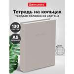 Тетрадь со сменным блоком Brauberg клетка 120 лист.