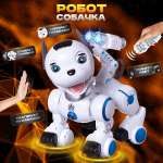 Собака РУ Veld Co