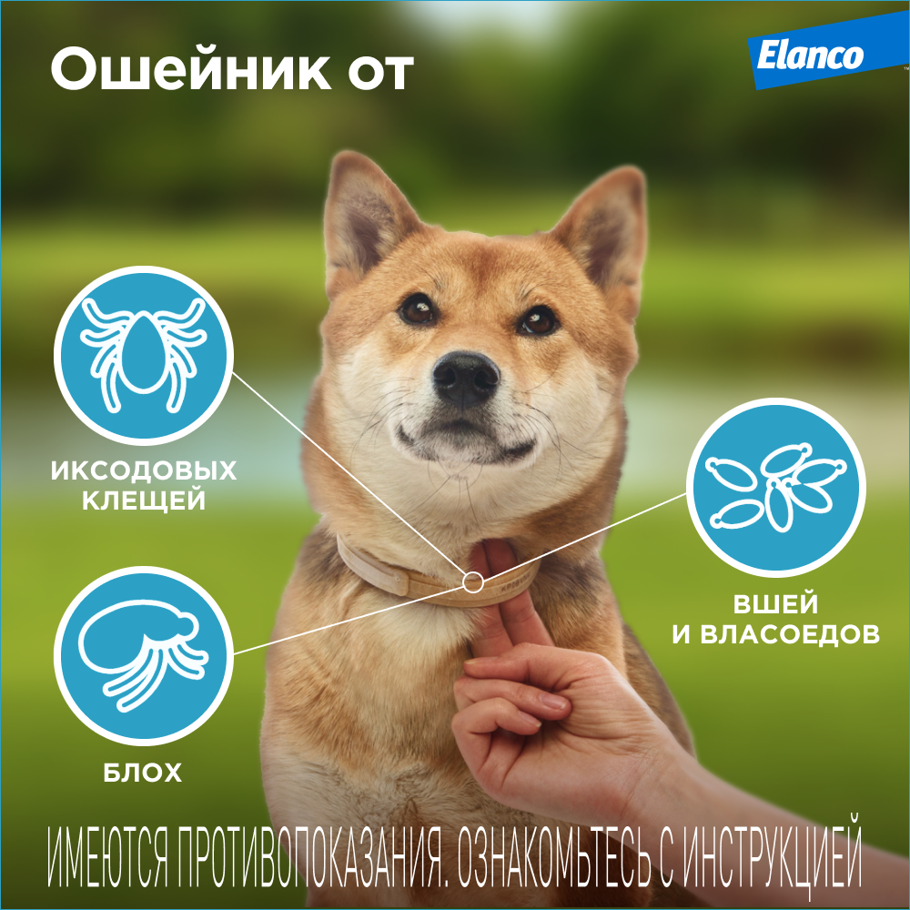 Ошейник для собак Elanco Килтикс против блох и клещей 35см - фото 3