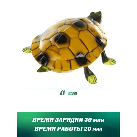 Рептилия РУ Veld Co Черепаха