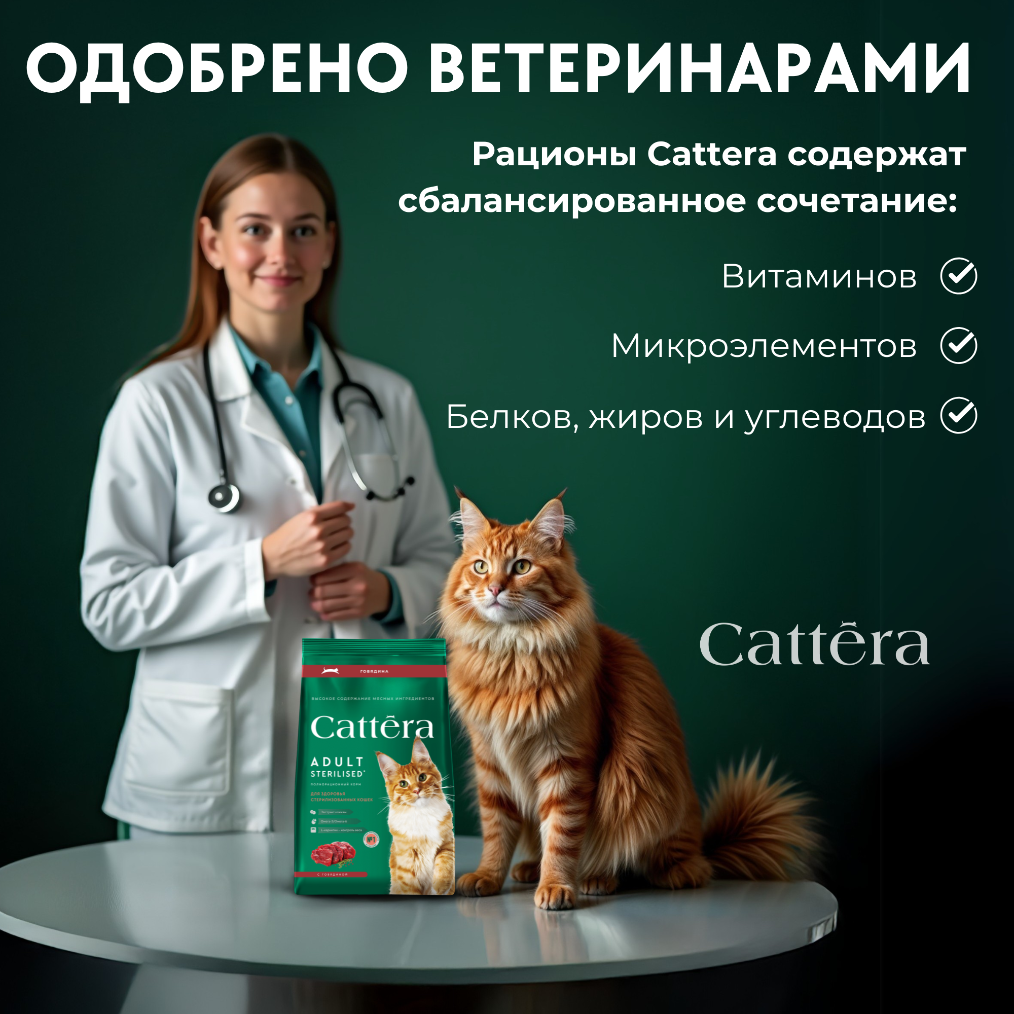 Корм сухой для кошек Cattera полнорационный с курицей для здорового пищеварения 0,3кг - фото 4