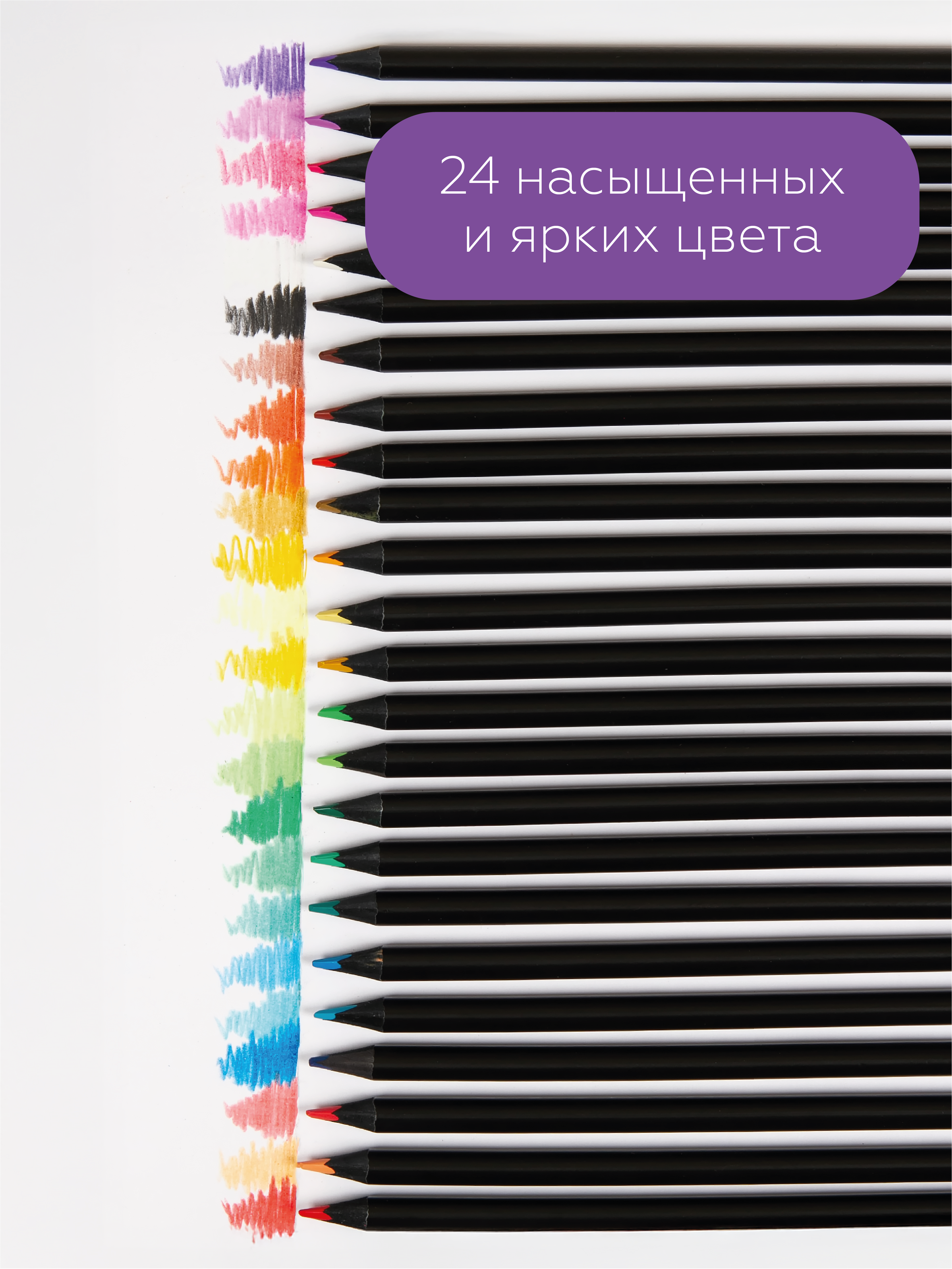 Карандаши цветные AXLER 24 шт. - фото 4