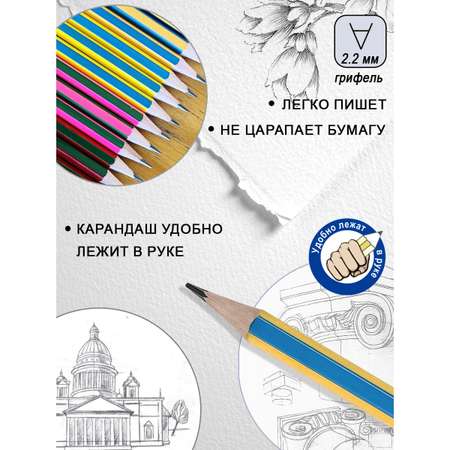 Карандаши чернографитные ACMELIAE 12 шт.