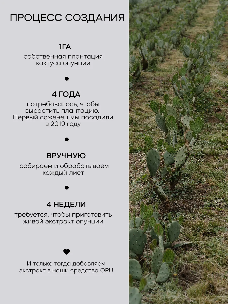 Крем Краснополянская косметика для глаз с Опунцией 15 мл 1 шт. - фото 4