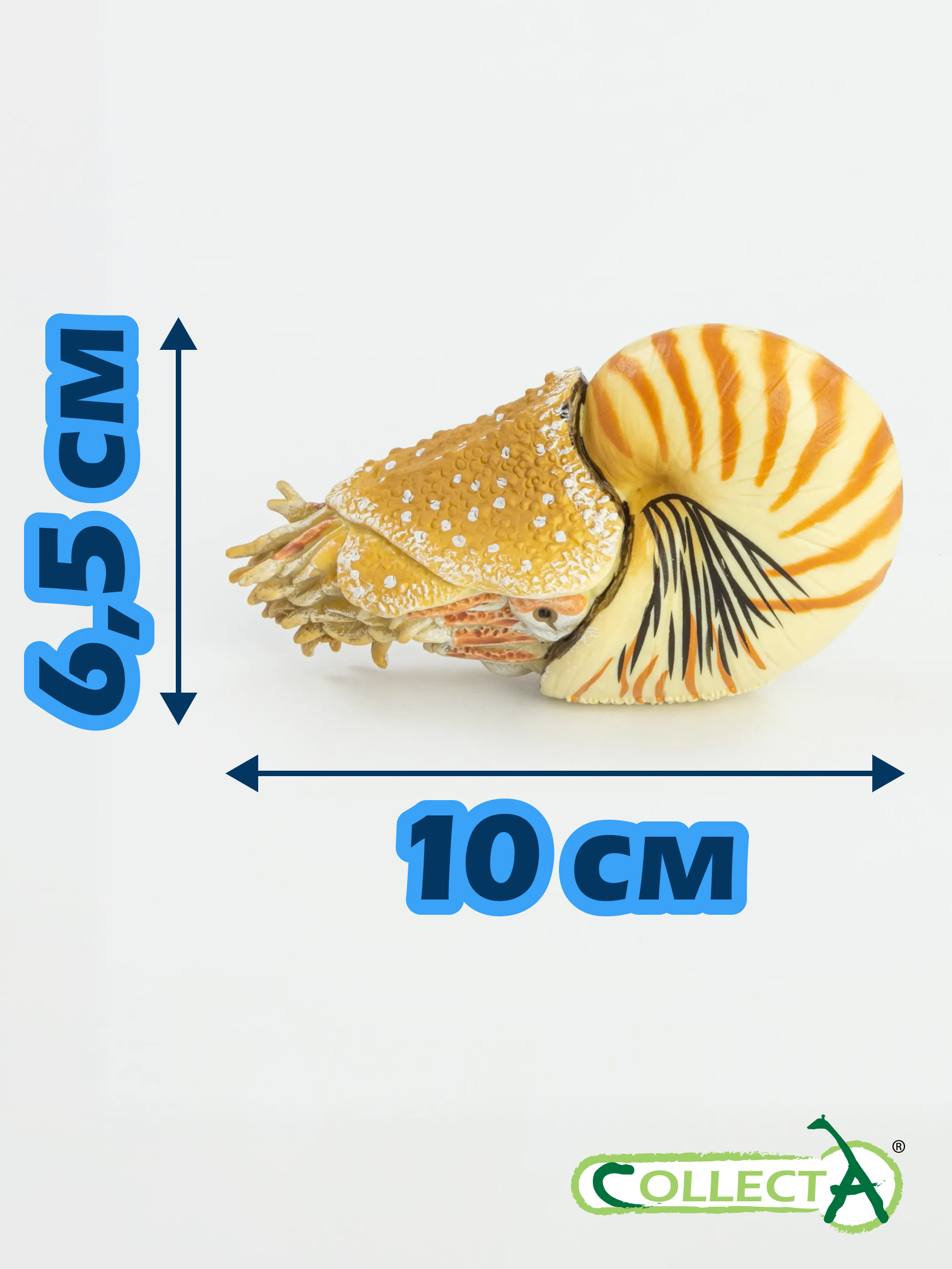 Фигурка Collecta Моллюск Наутилус Помпилиус - фото 2
