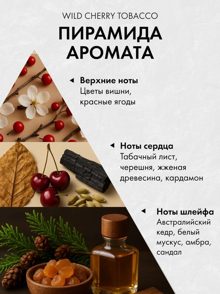 Диффузор с сухоцветами в Премиум тубусе Accents Wild Cherry & Tobacco - фото 2