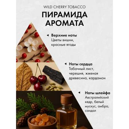 Диффузор с сухоцветами в Премиум тубусе Accents Wild Cherry & Tobacco