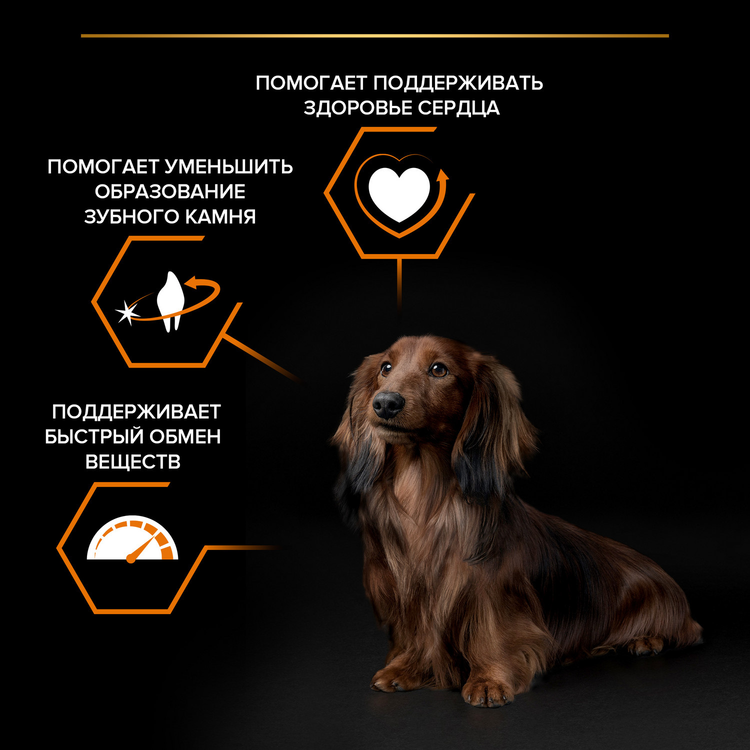 Корм для собак PRO PLAN мелких и миниатюрных пород с комплексом Optibalance курица с рисом 7кг - фото 4