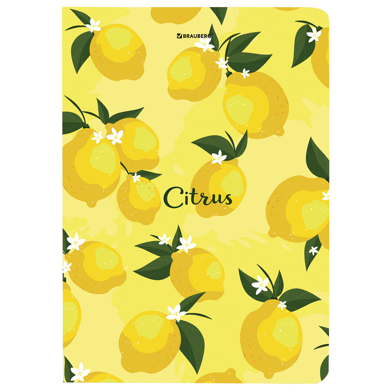 Блокнот Brauberg 96 лист. - фото 8